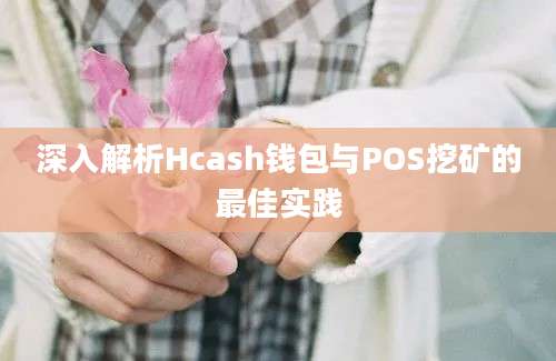 深入解析Hcash钱包与POS挖矿的最佳实践