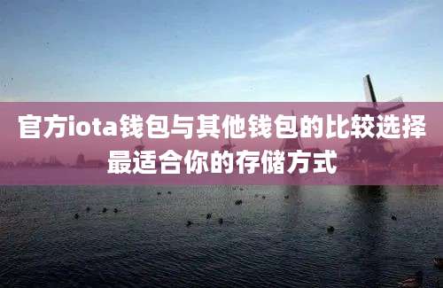 官方iota钱包与其他钱包的比较选择最适合你的存储方式