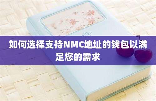 如何选择支持NMC地址的钱包以满足您的需求