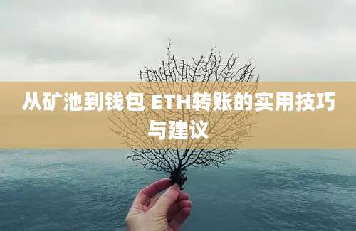 从矿池到钱包 ETH转账的实用技巧与建议