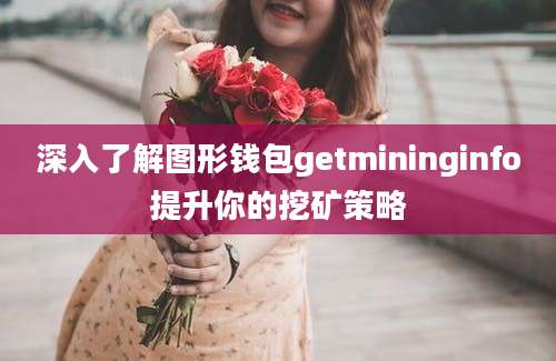 深入了解图形钱包getmininginfo提升你的挖矿策略