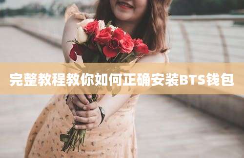 完整教程教你如何正确安装BTS钱包