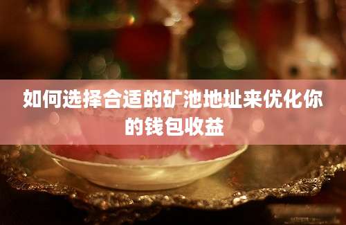 如何选择合适的矿池地址来优化你的钱包收益