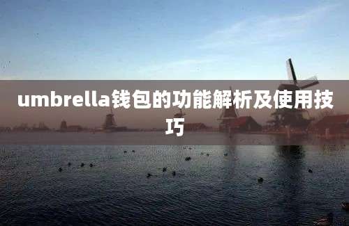 umbrella钱包的功能解析及使用技巧