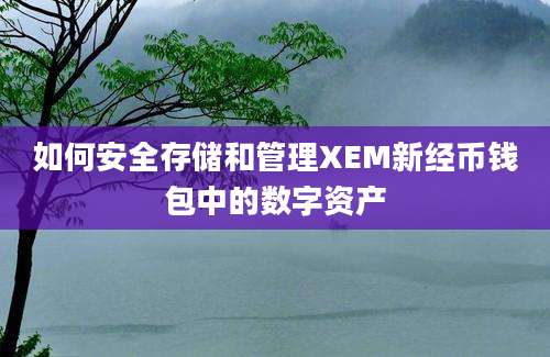 如何安全存储和管理XEM新经币钱包中的数字资产