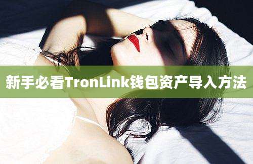 新手必看TronLink钱包资产导入方法