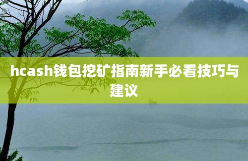 hcash钱包挖矿指南新手必看技巧与建议