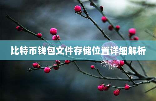 比特币钱包文件存储位置详细解析