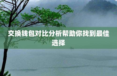 交换钱包对比分析帮助你找到最佳选择