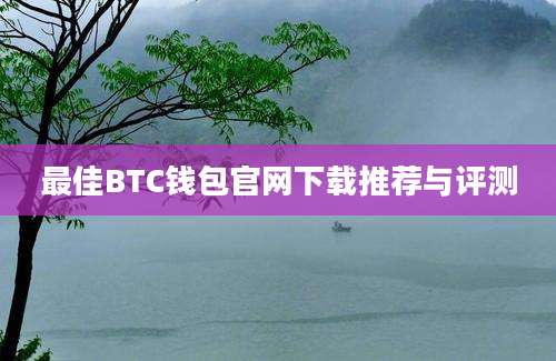 最佳BTC钱包官网下载推荐与评测