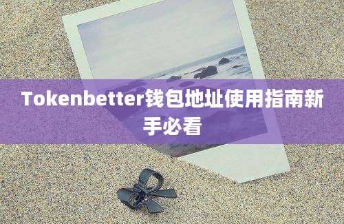 Tokenbetter钱包地址使用指南新手必看