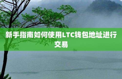 新手指南如何使用LTC钱包地址进行交易