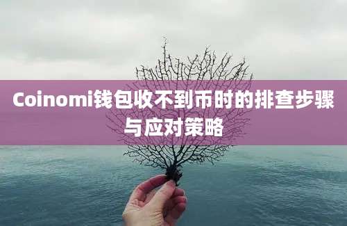 Coinomi钱包收不到币时的排查步骤与应对策略