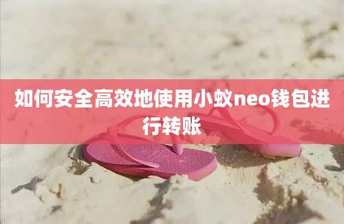 如何安全高效地使用小蚁neo钱包进行转账