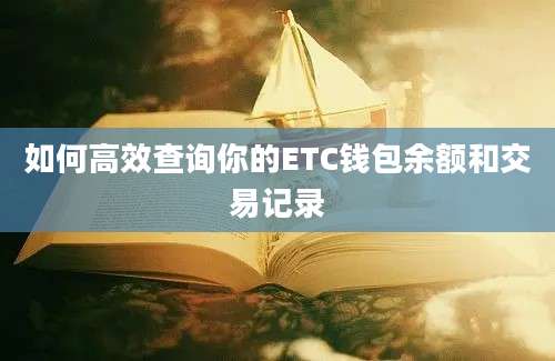 如何高效查询你的ETC钱包余额和交易记录