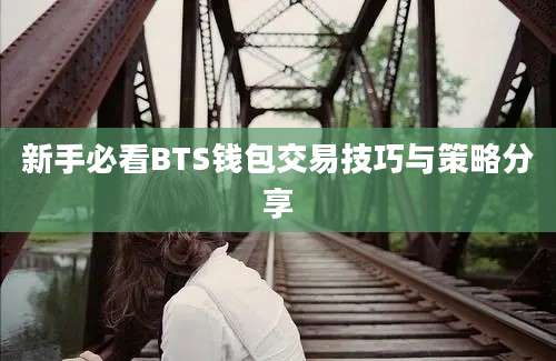 新手必看BTS钱包交易技巧与策略分享