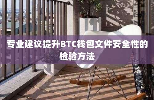 专业建议提升BTC钱包文件安全性的检验方法