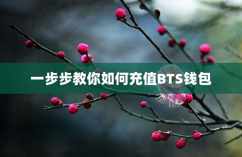 一步步教你如何充值BTS钱包