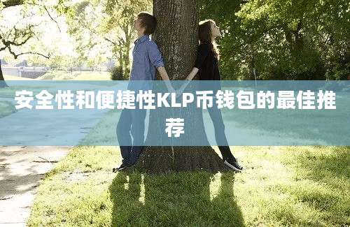 安全性和便捷性KLP币钱包的最佳推荐