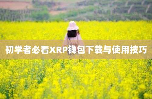 初学者必看XRP钱包下载与使用技巧