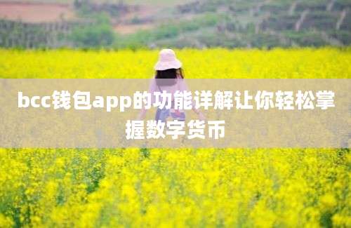 bcc钱包app的功能详解让你轻松掌握数字货币