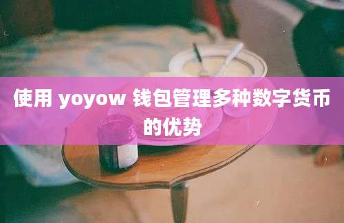 使用 yoyow 钱包管理多种数字货币的优势