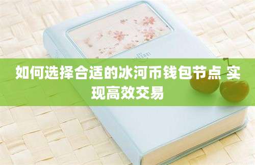 如何选择合适的冰河币钱包节点 实现高效交易