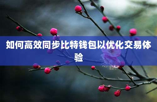 如何高效同步比特钱包以优化交易体验