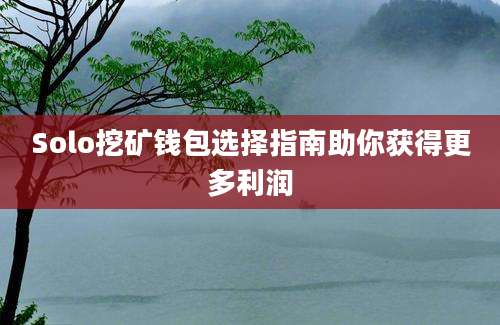 Solo挖矿钱包选择指南助你获得更多利润