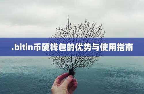 .bitin币硬钱包的优势与使用指南