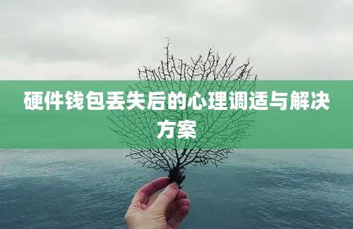 硬件钱包丢失后的心理调适与解决方案