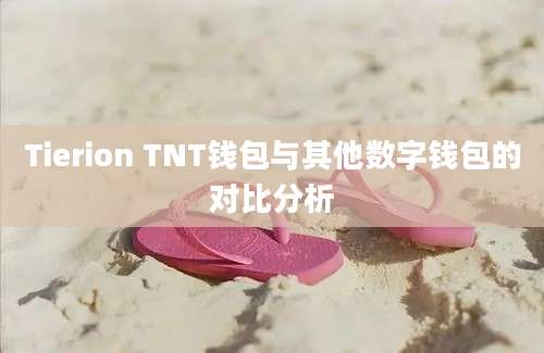 Tierion TNT钱包与其他数字钱包的对比分析