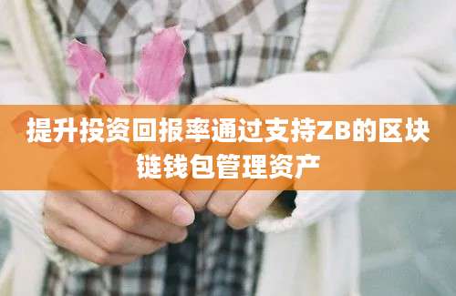 提升投资回报率通过支持ZB的区块链钱包管理资产