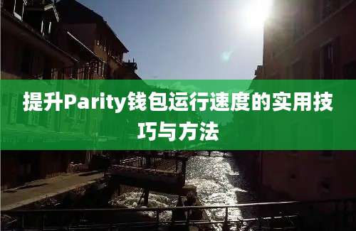 提升Parity钱包运行速度的实用技巧与方法