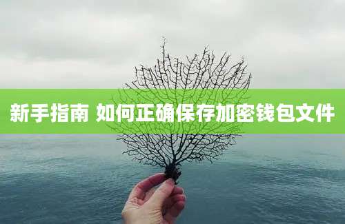 新手指南 如何正确保存加密钱包文件