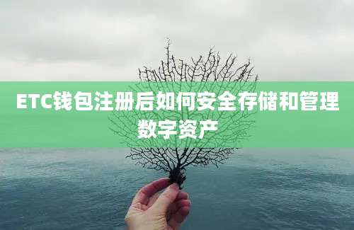 ETC钱包注册后如何安全存储和管理数字资产