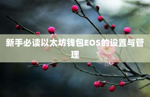 新手必读以太坊钱包EOS的设置与管理