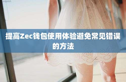 提高Zec钱包使用体验避免常见错误的方法