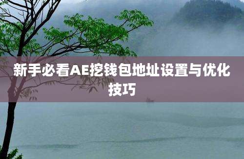 新手必看AE挖钱包地址设置与优化技巧