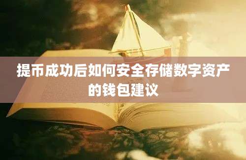 提币成功后如何安全存储数字资产的钱包建议