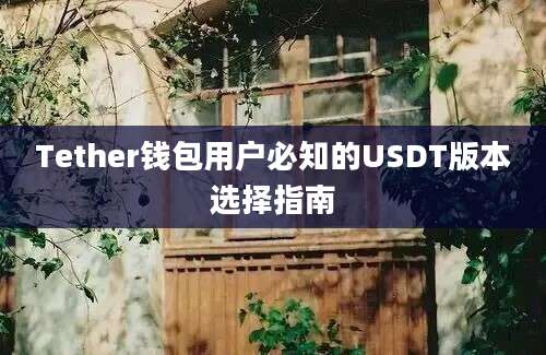 Tether钱包用户必知的USDT版本选择指南