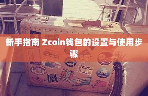 新手指南 Zcoin钱包的设置与使用步骤