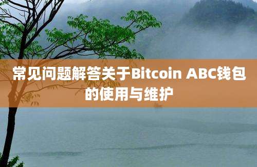 常见问题解答关于Bitcoin ABC钱包的使用与维护