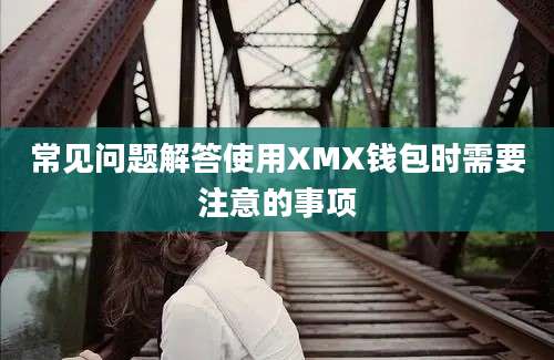 常见问题解答使用XMX钱包时需要注意的事项