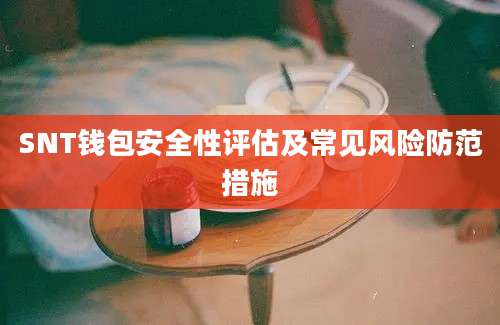 SNT钱包安全性评估及常见风险防范措施