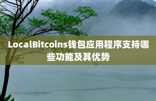 LocalBitcoins钱包应用程序支持哪些功能及其优势