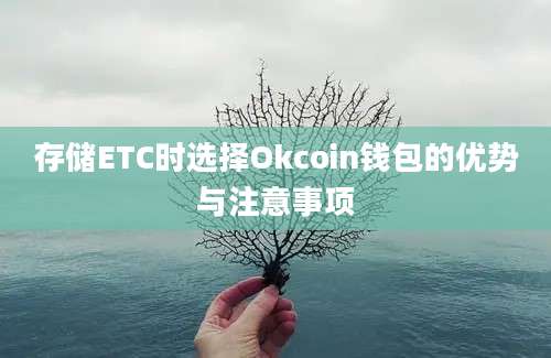 存储ETC时选择Okcoin钱包的优势与注意事项