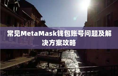 常见MetaMask钱包账号问题及解决方案攻略