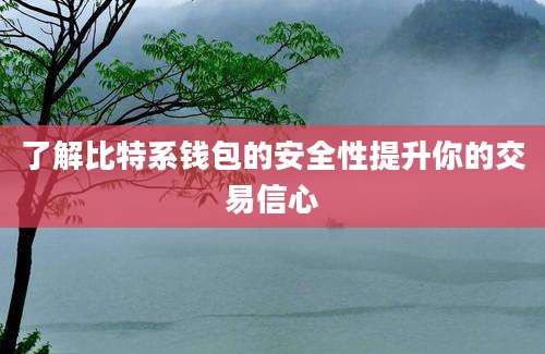 了解比特系钱包的安全性提升你的交易信心