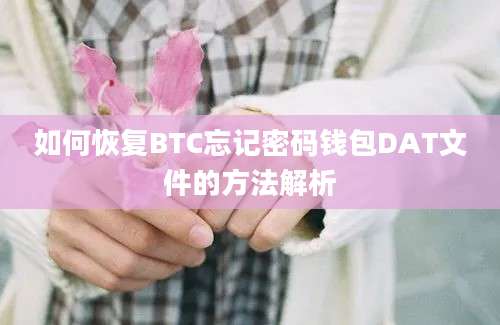 如何恢复BTC忘记密码钱包DAT文件的方法解析